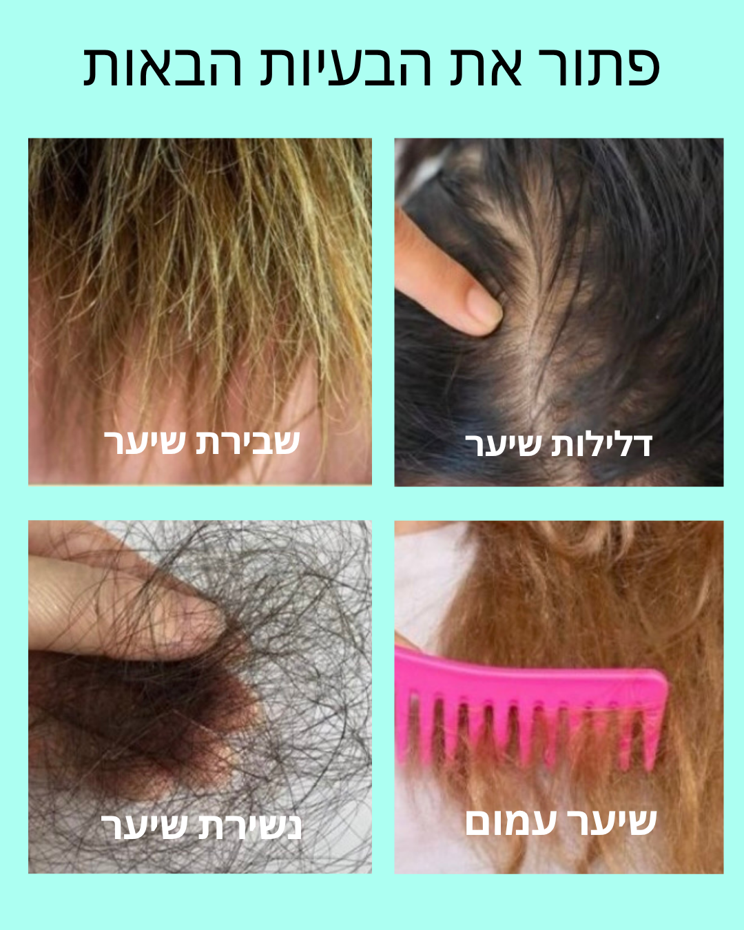 Wild Growth Oil - שמן פראי